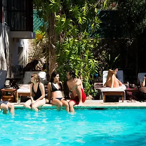 Hostal Siesta Fiesta &, Mérida